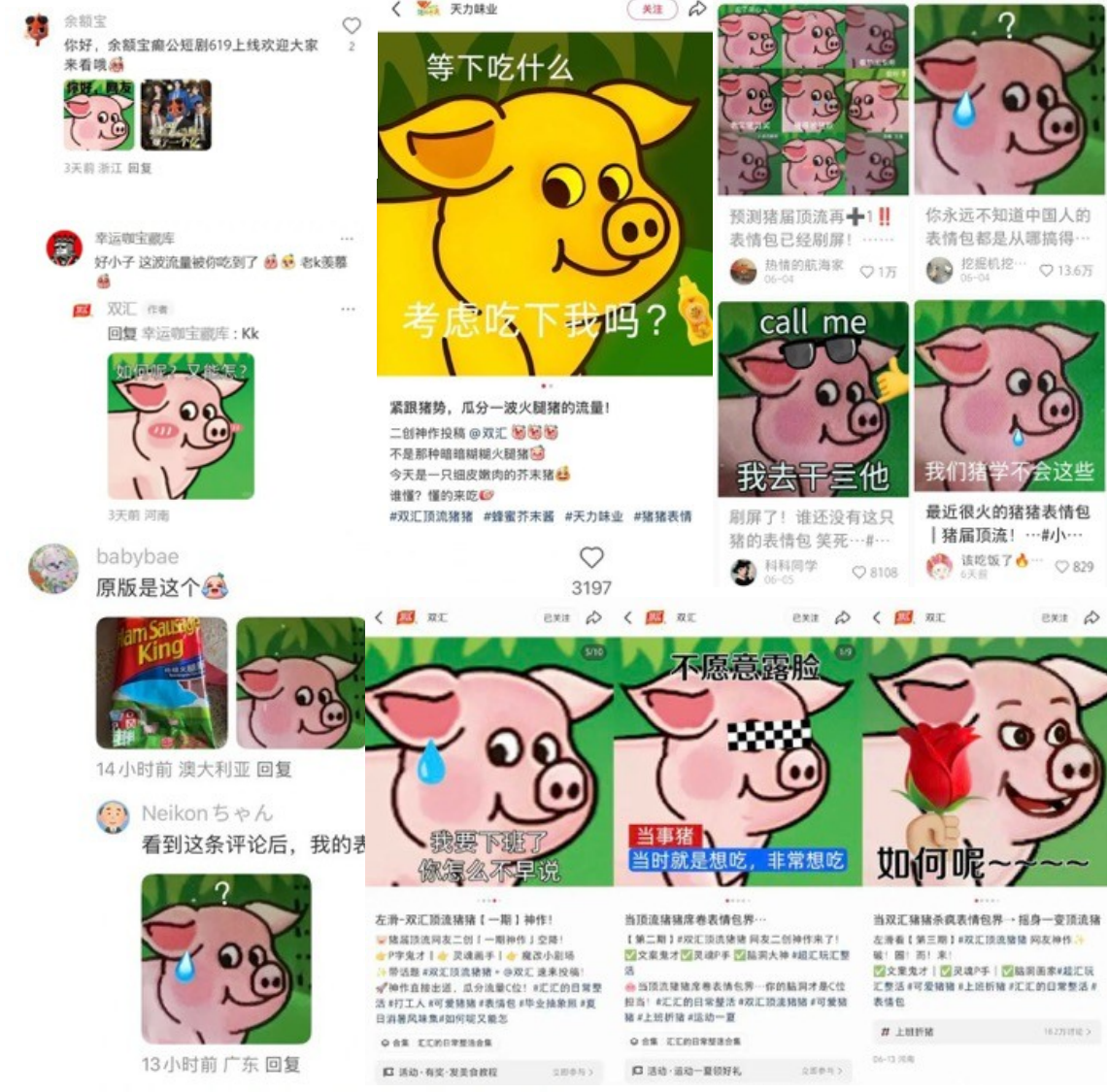 双汇粉红猪秀出猪界顶流表情包 社媒现场