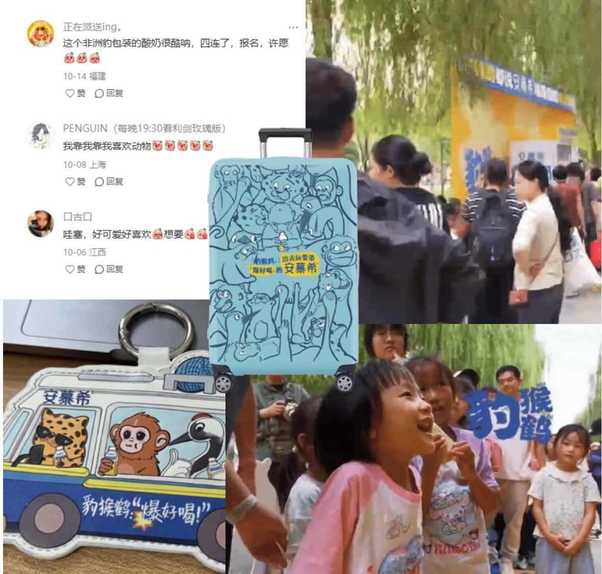 代言的风还是吹到了动物界 社媒现场