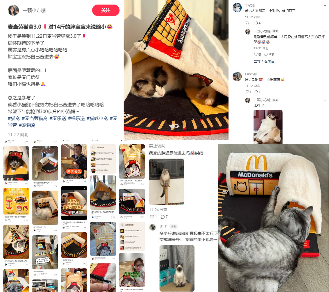 咪的天!麦当劳猫窝 3.0 上新了 社媒现场