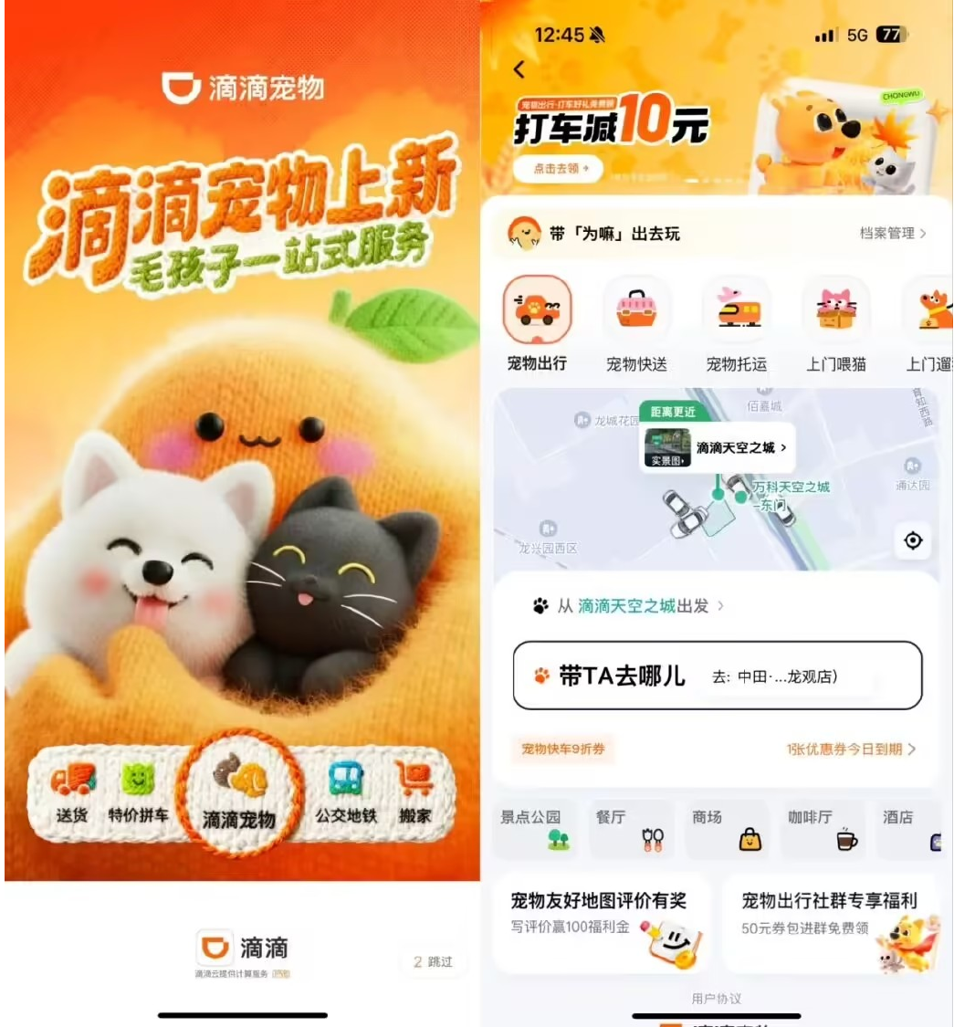 滴滴上线“宠物服务”