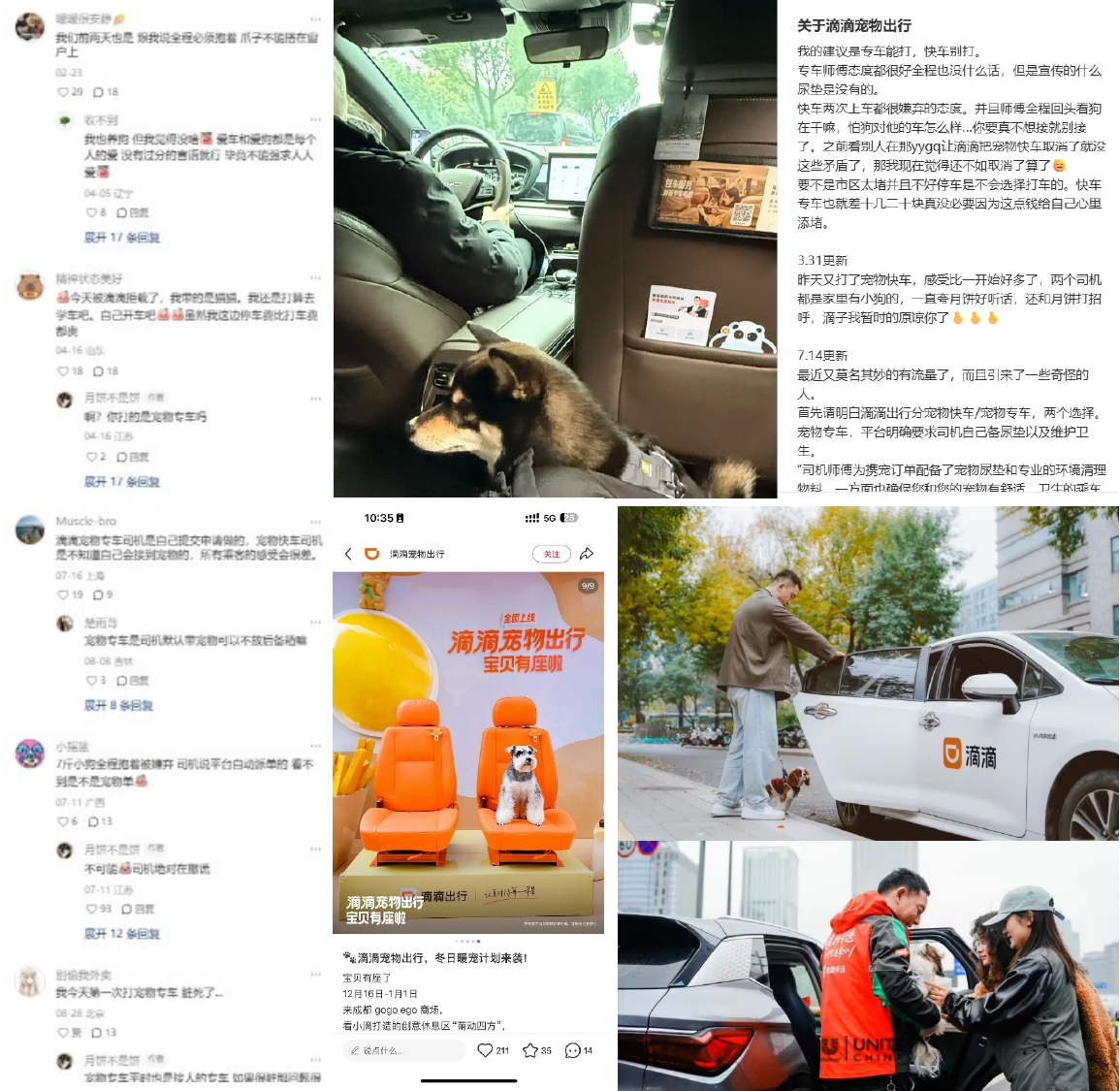 滴滴上线“宠物服务” 社媒现场