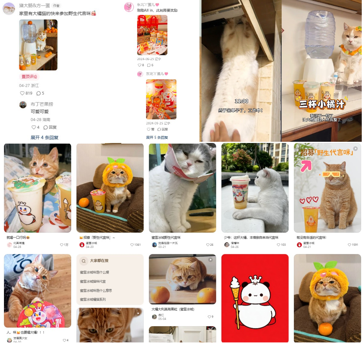 接水小猫方师傅开始卖蜜雪冰城了 社媒现场